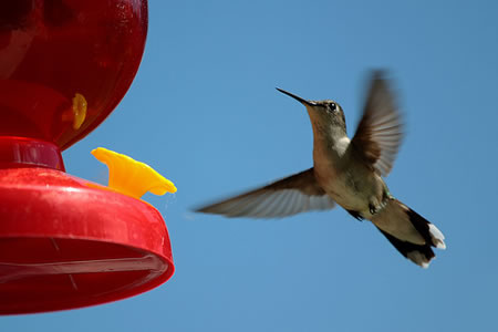 Make Your Marketing Agile