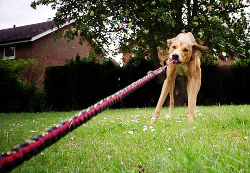 Push vs. Pull Marketing